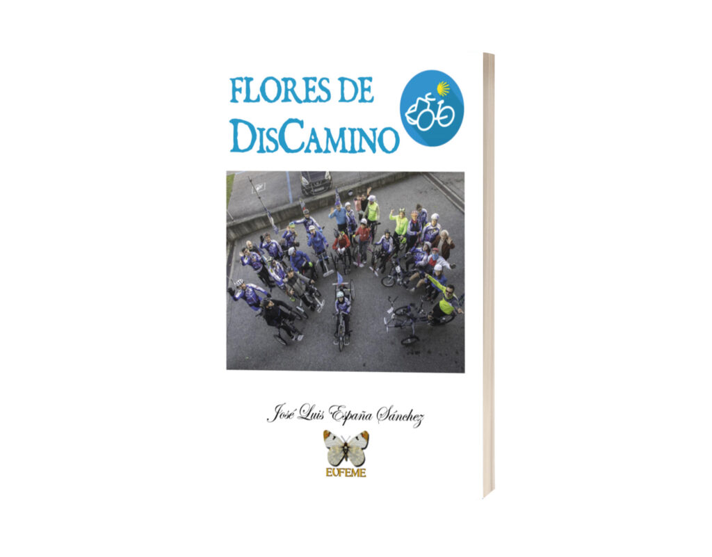 Flores de DisCamino